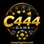 C444 Game