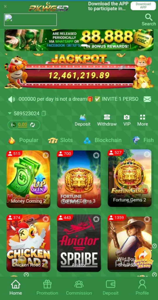 PKWG5D Game