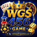 WGS456 Game